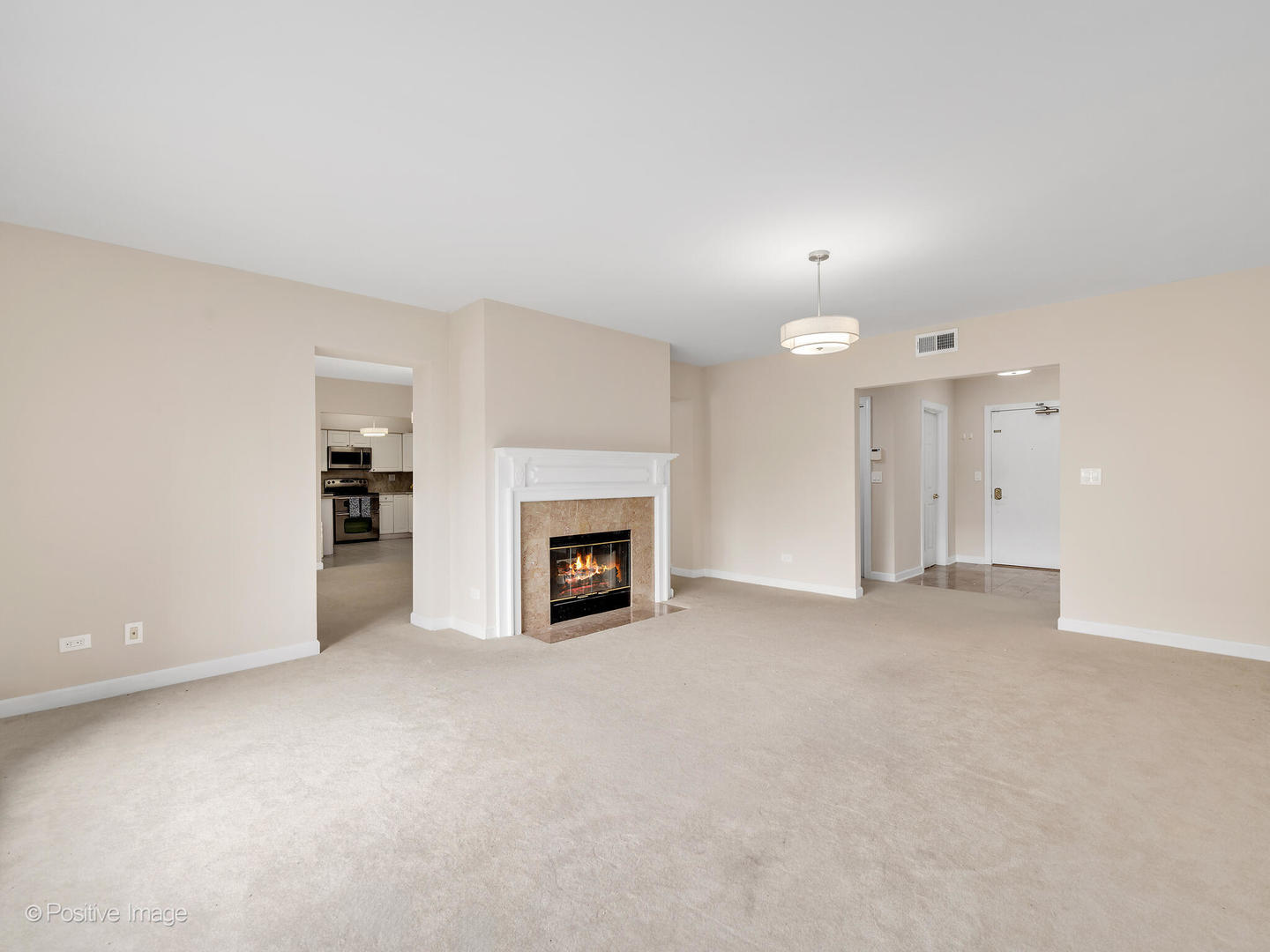 3525 Cass Court Unit: 409