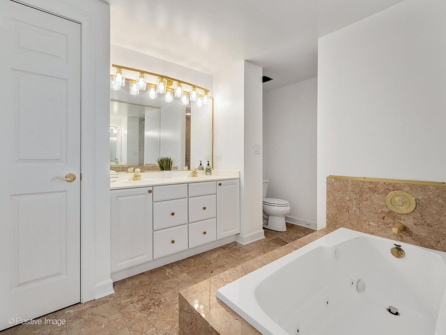 3525 Cass Court Unit: 409