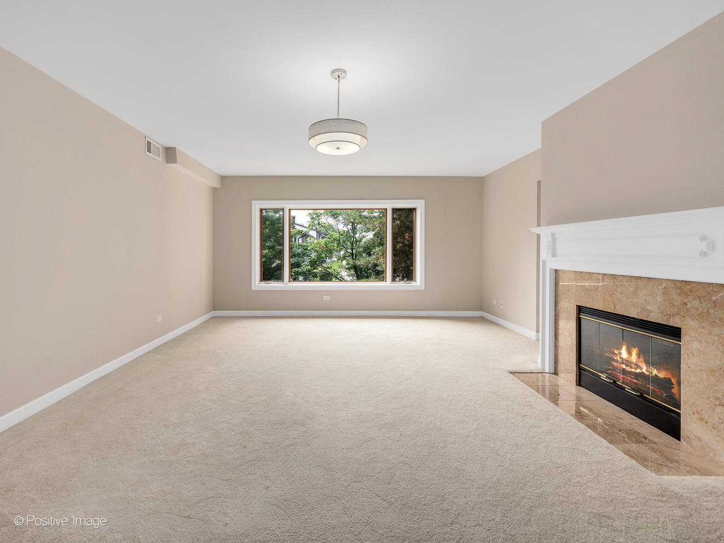 3525 Cass Court Unit: 409