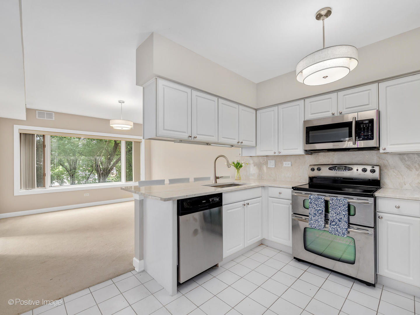 3525 Cass Court Unit: 409