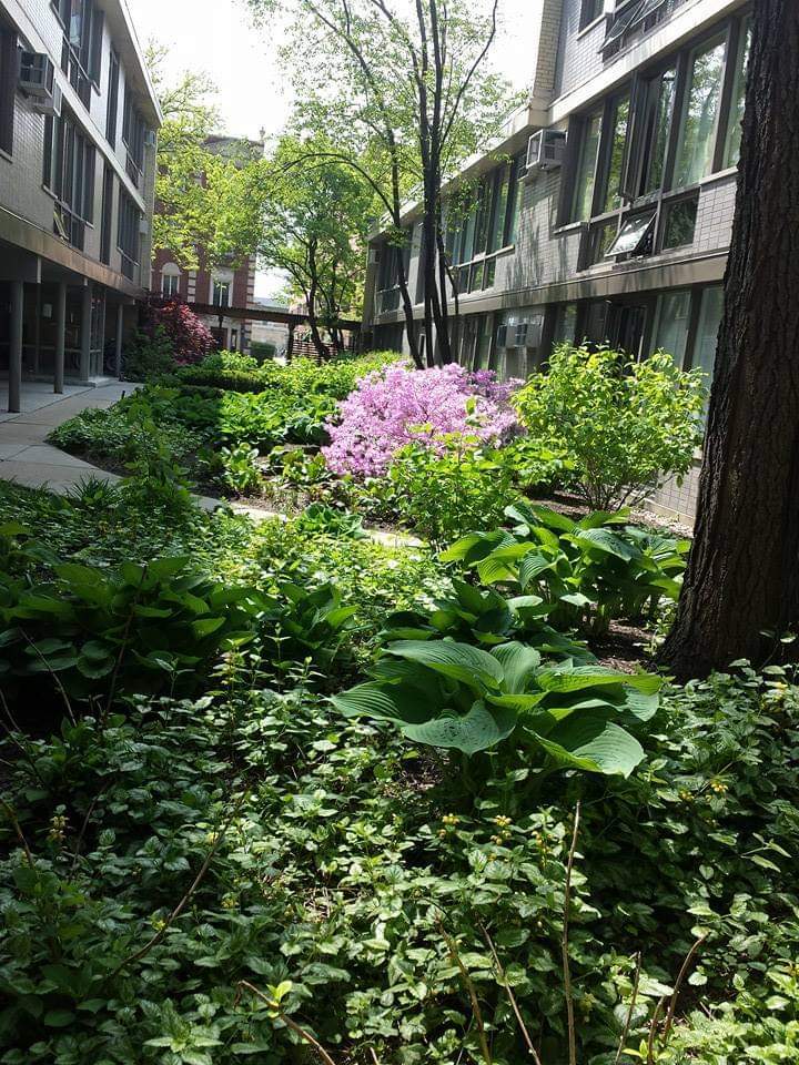 1040 Ontario Street Unit: 3H