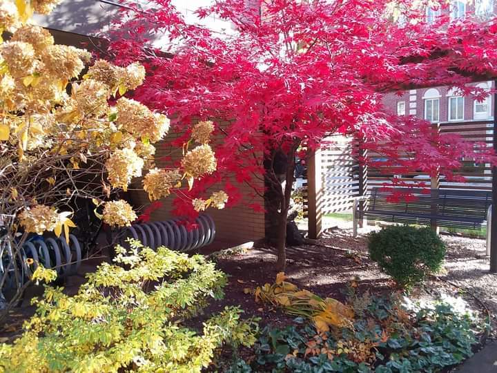 1040 Ontario Street Unit: 3H