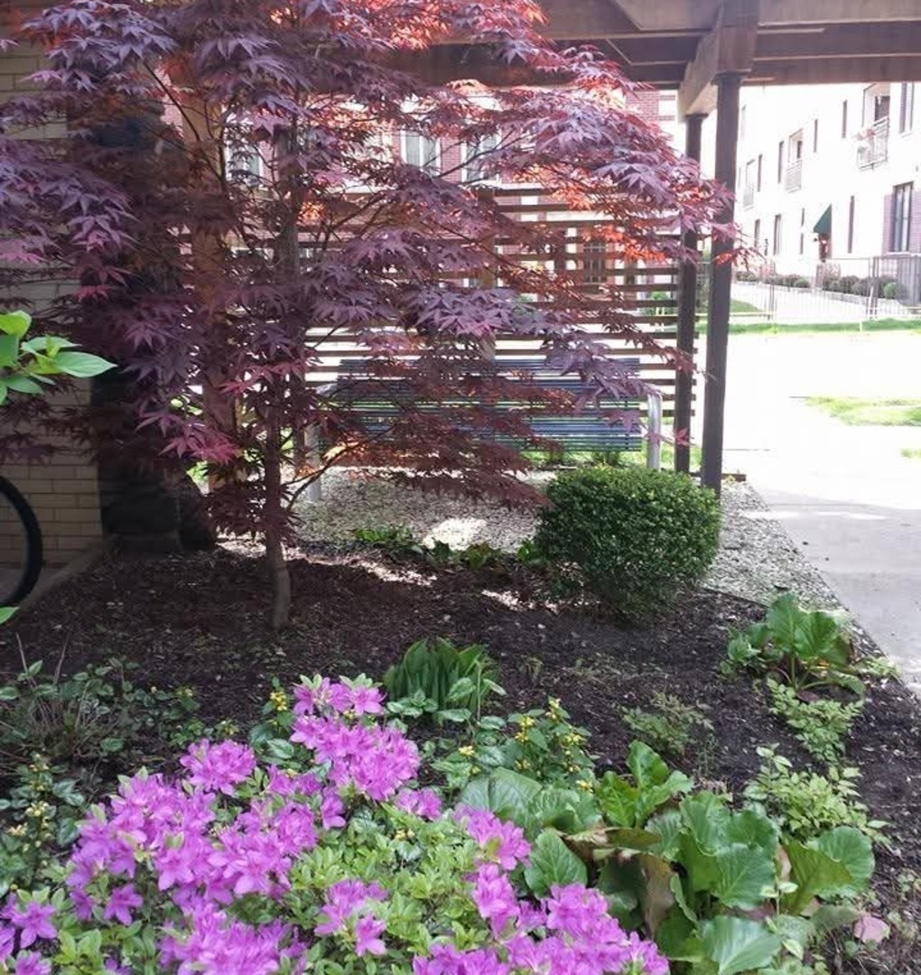 1040 Ontario Street Unit: 3H