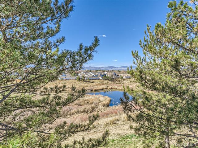 8405 Pebble Creek Way Unit: 203