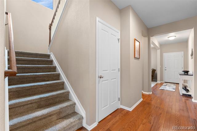 40 Ferris Lane