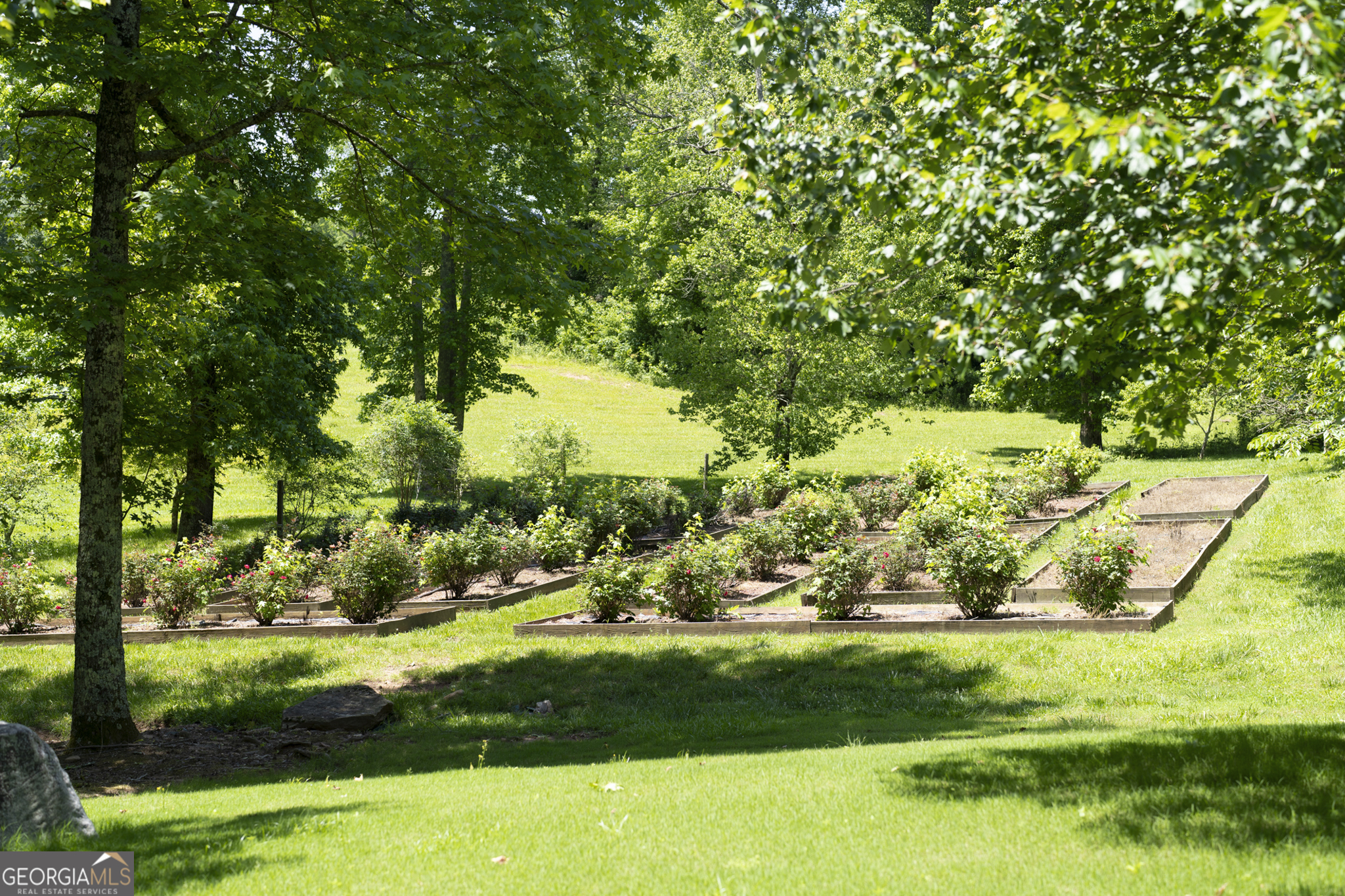 6249 Ben Parks Road