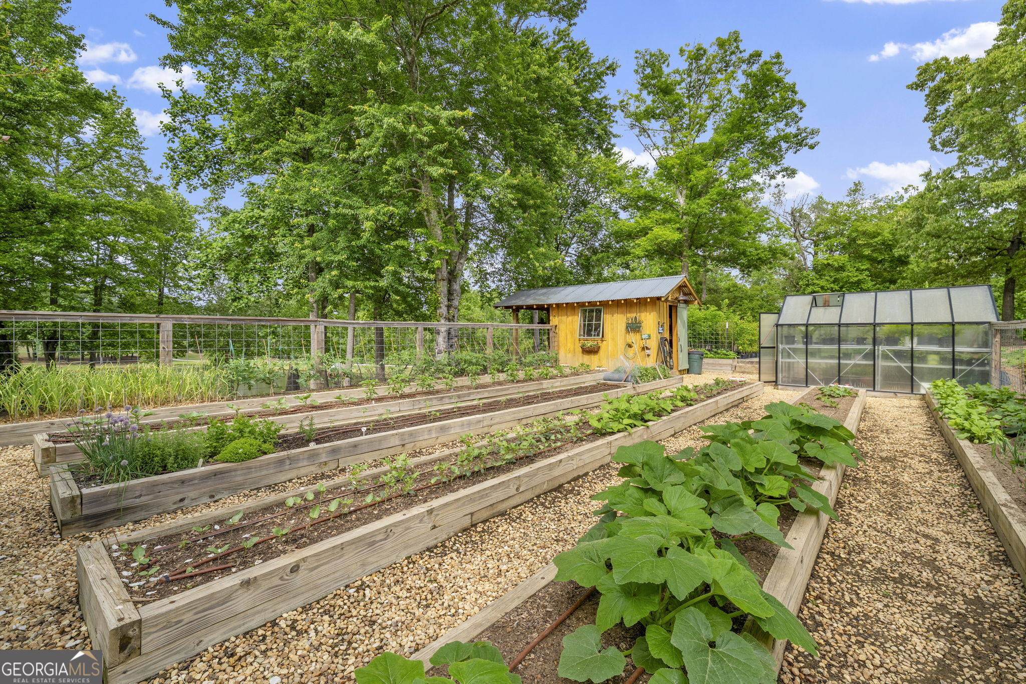 4239 Lower Jersey Road