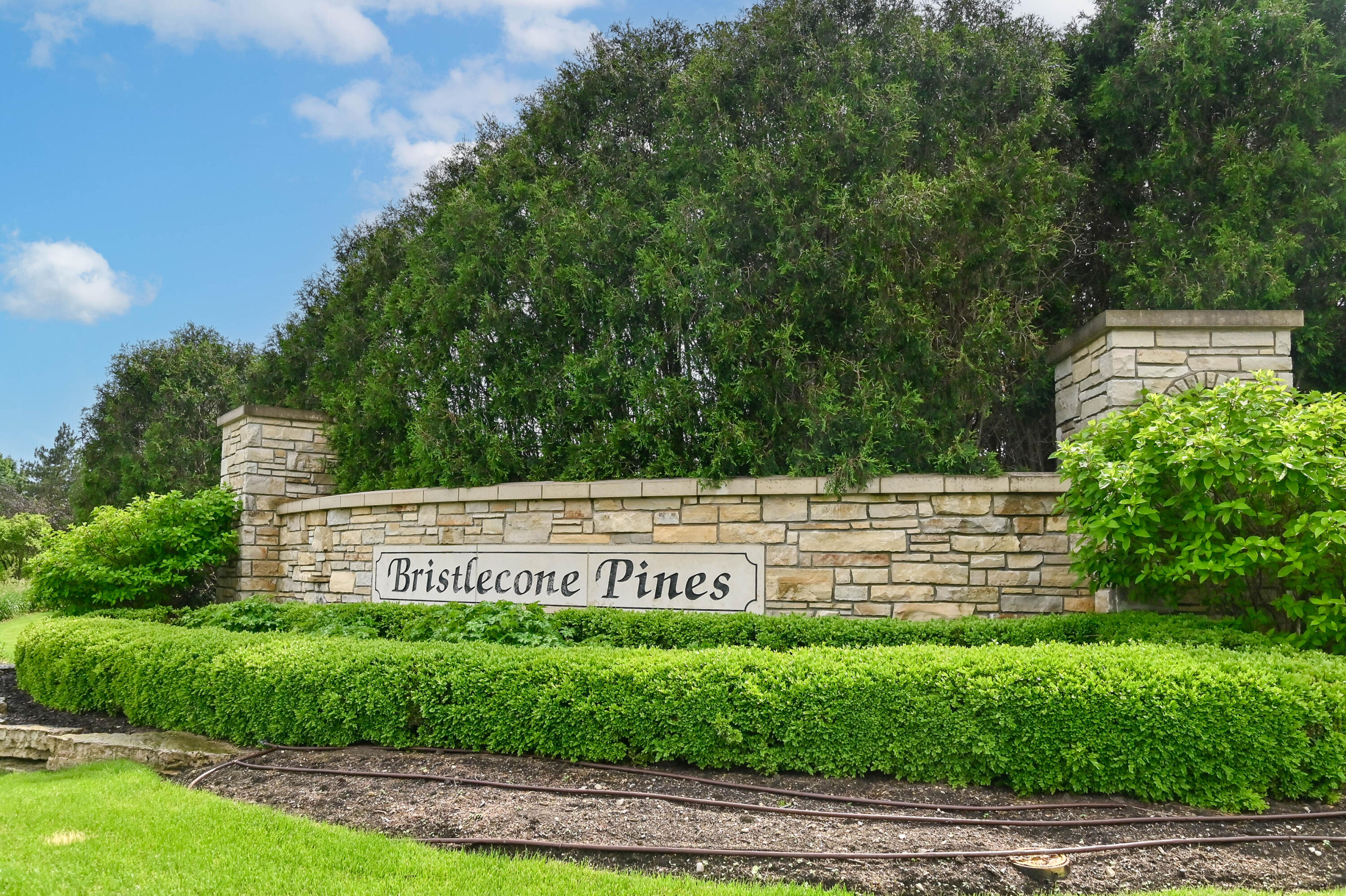 1803 E Bristlecone Dr