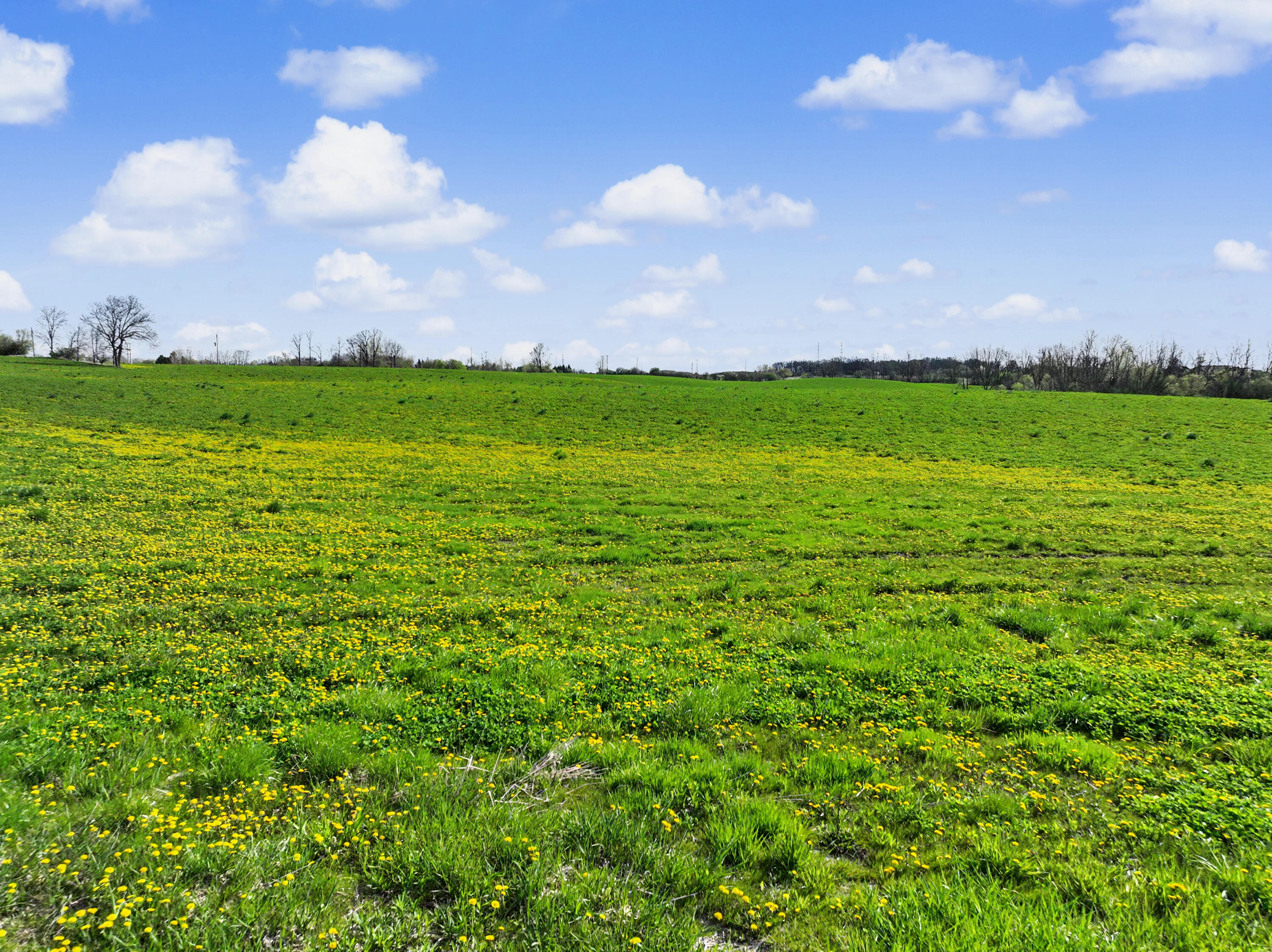 Lot 1 E Sauk Rd