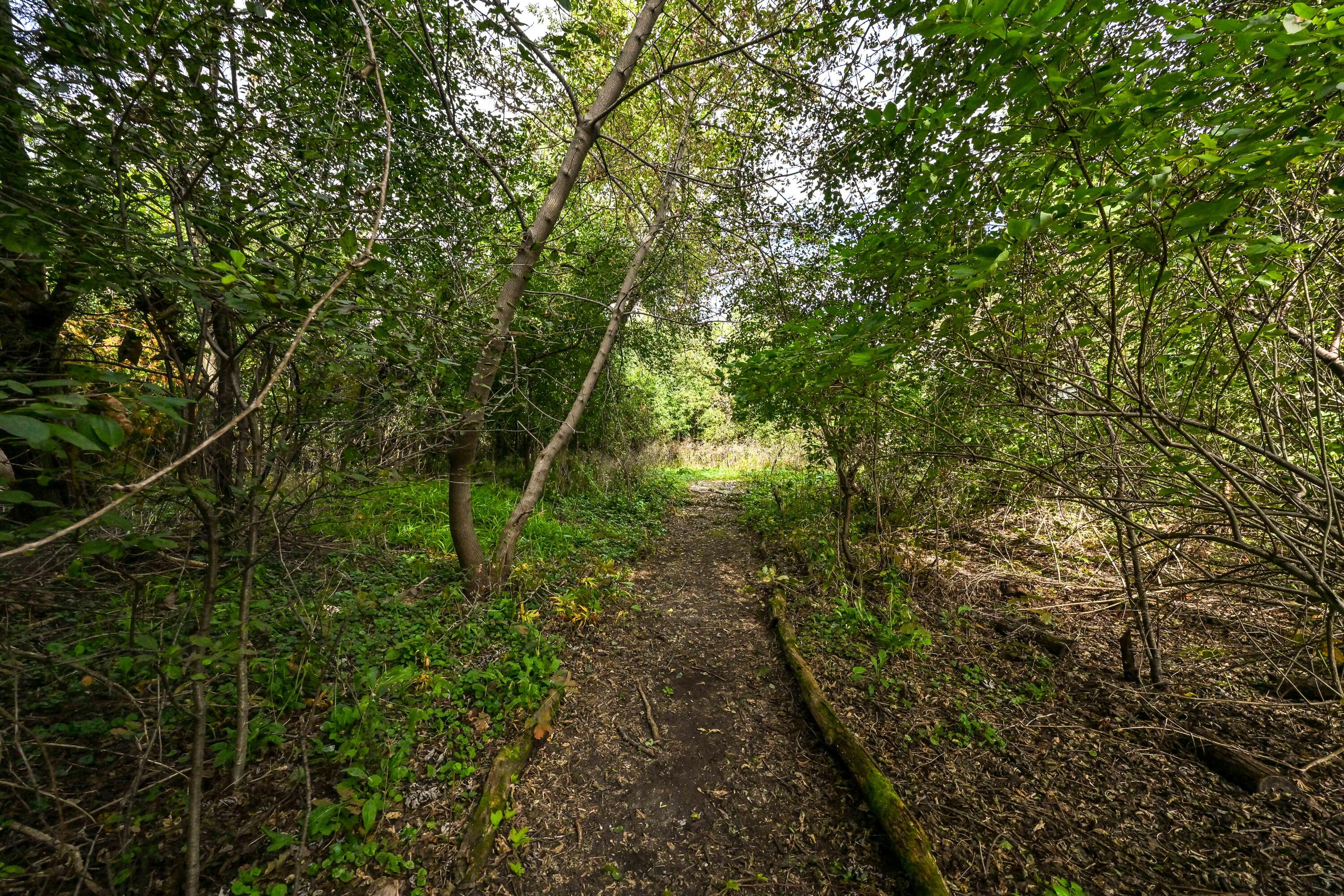 920 E Fairy Chasm Rd