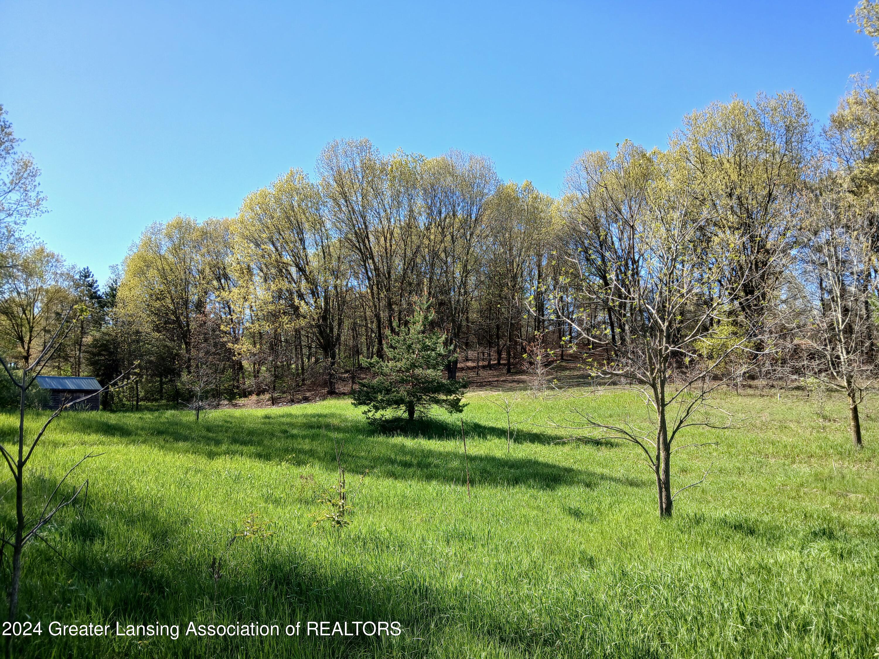 7798 Centerline Road