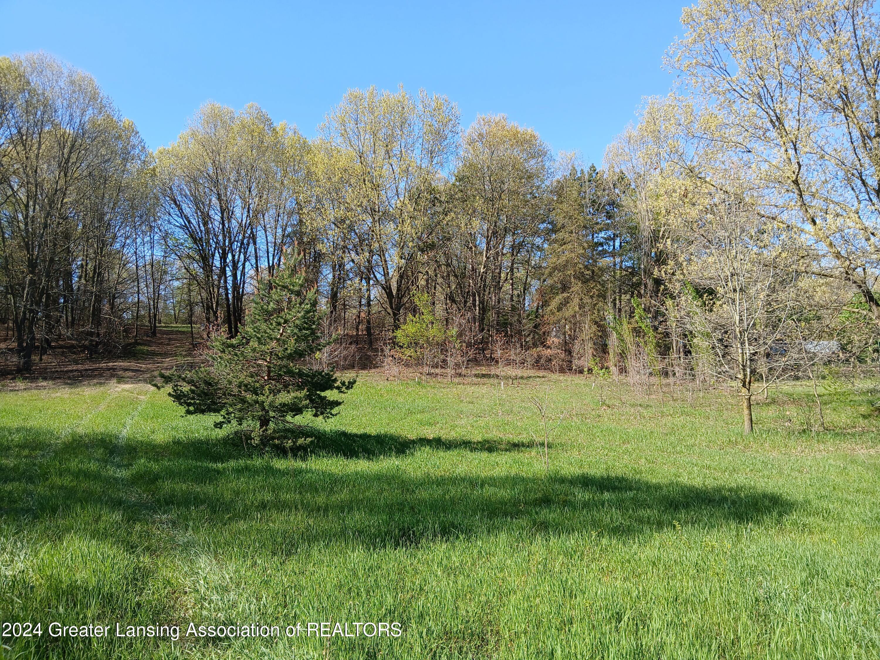 7798 Centerline Road