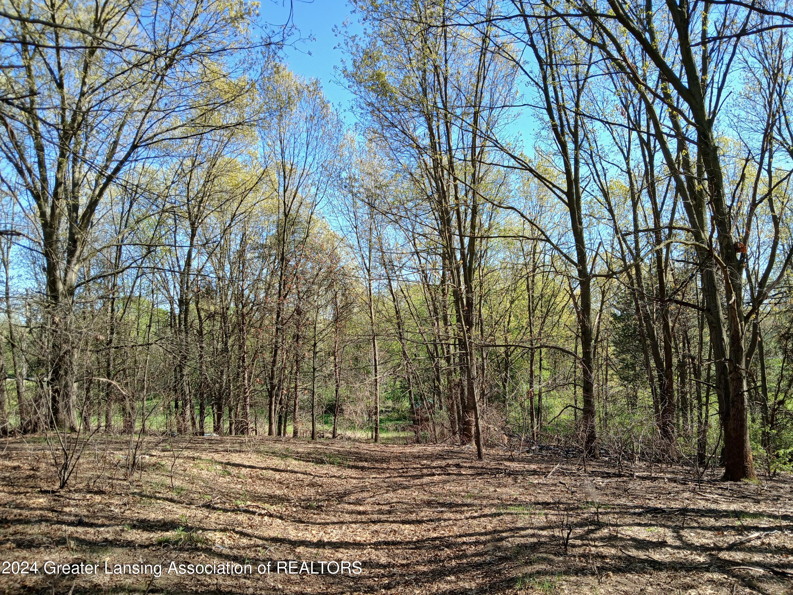 7798 Centerline Road
