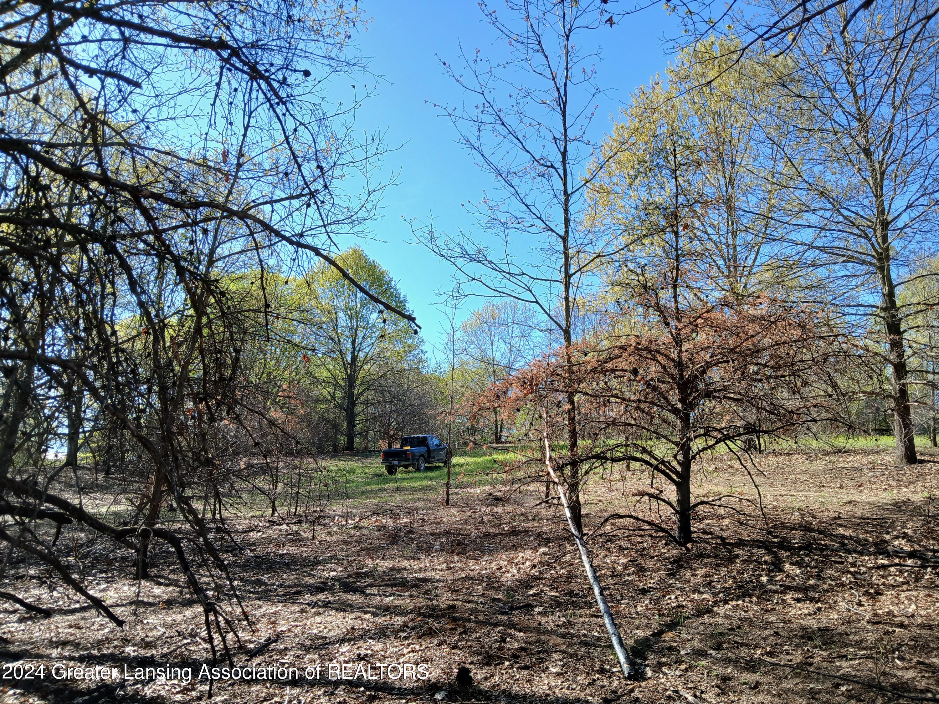 7798 Centerline Road