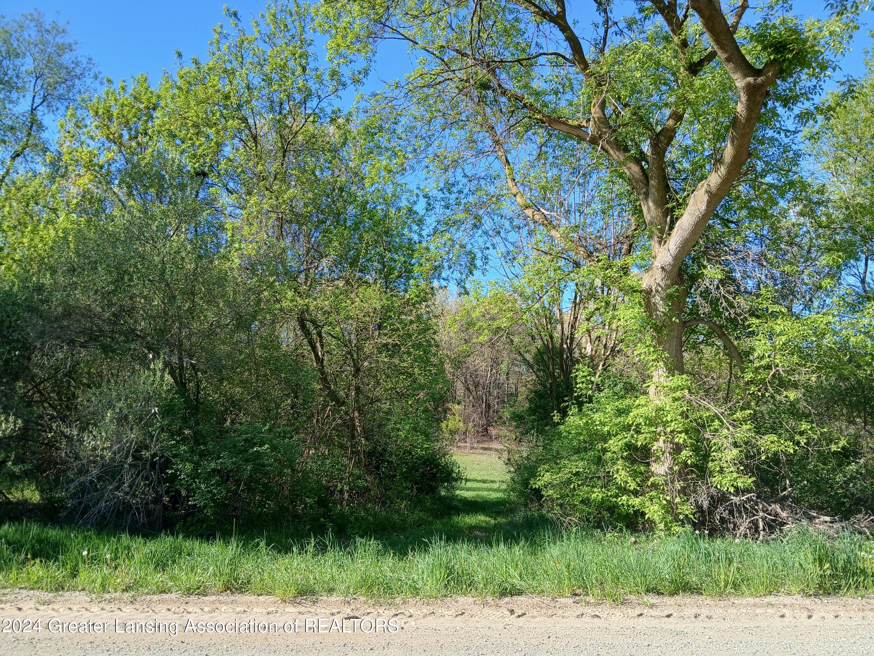 7798 Centerline Road