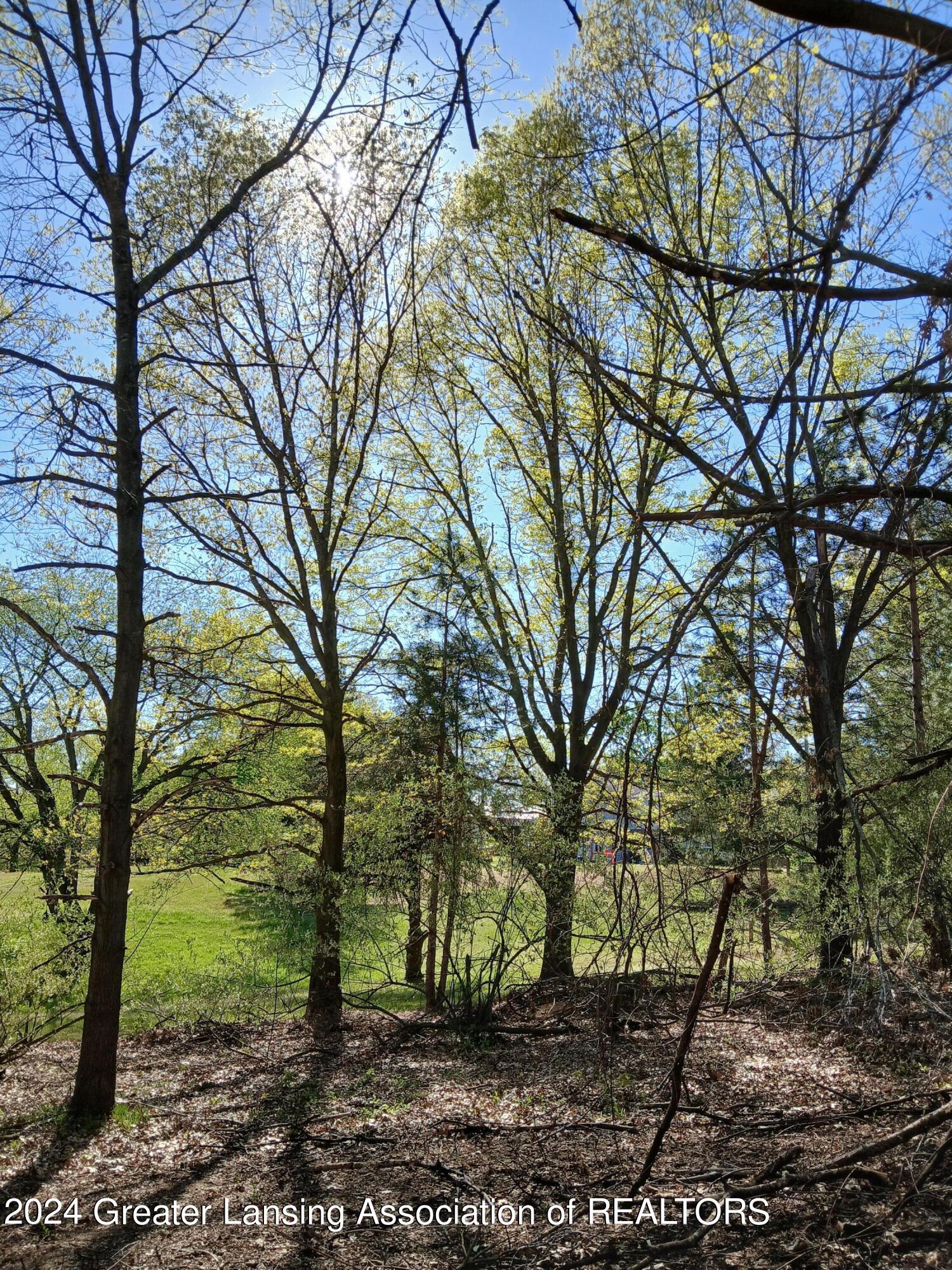 7798 Centerline Road