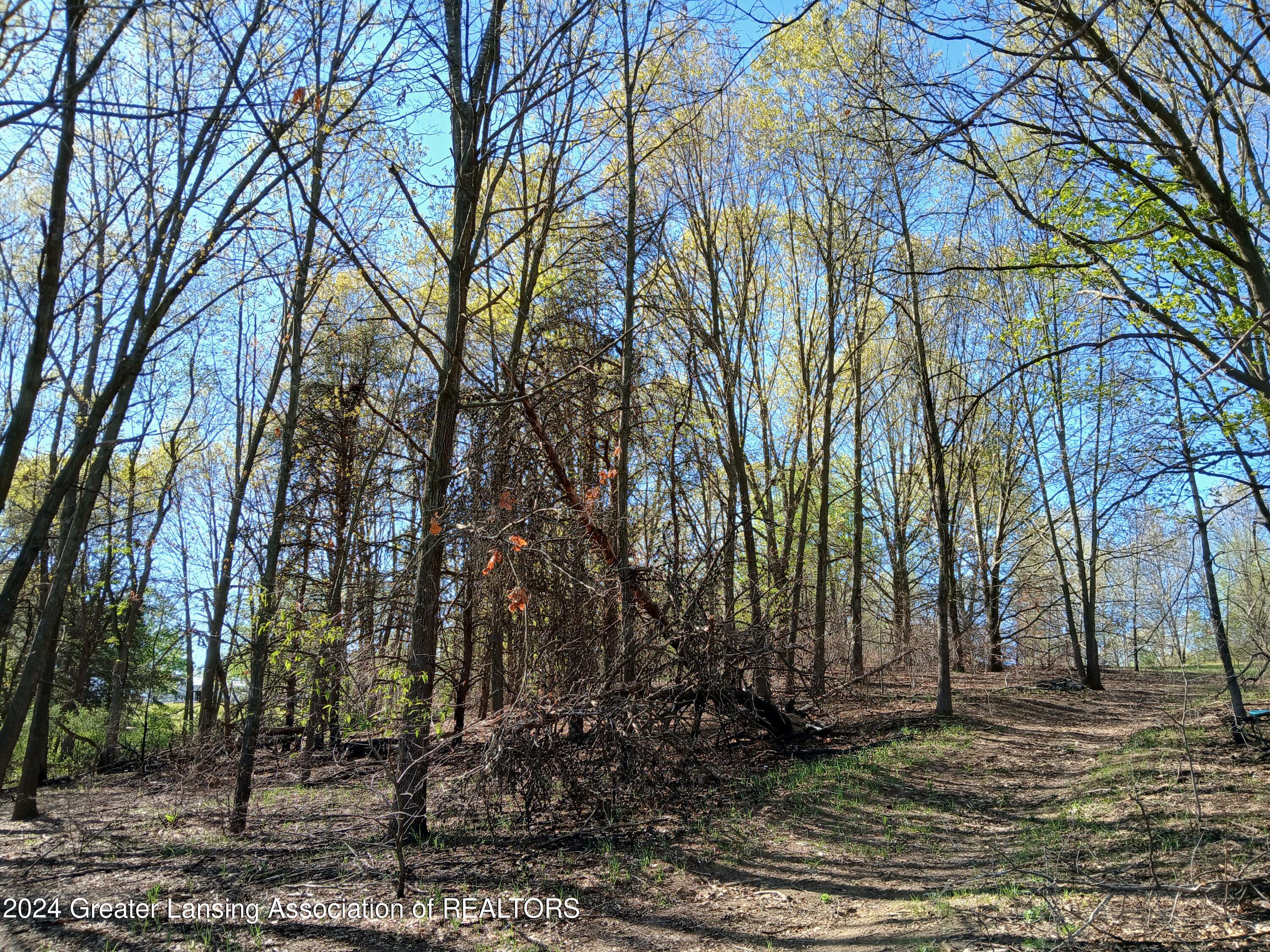 7798 Centerline Road