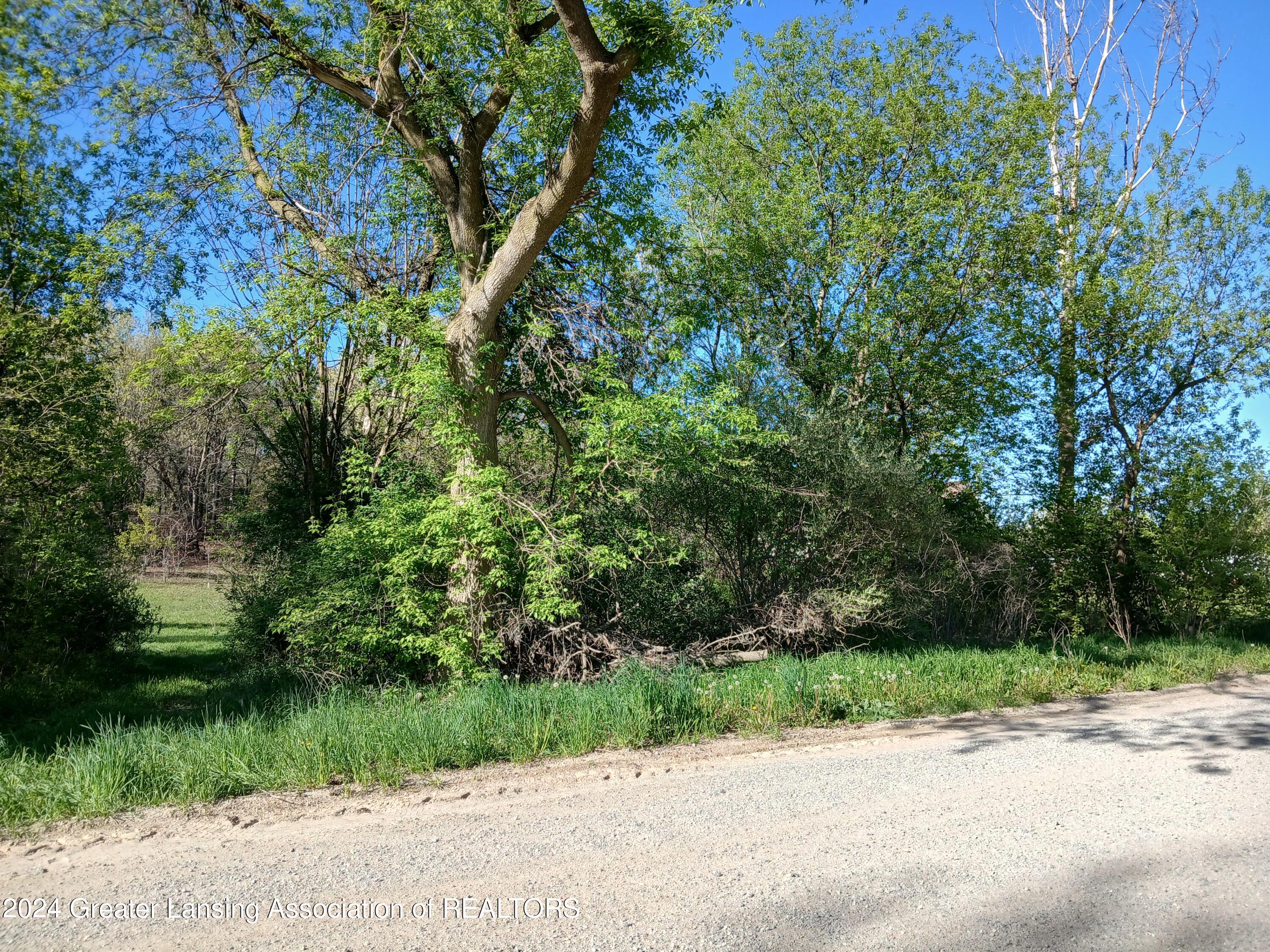 7798 Centerline Road
