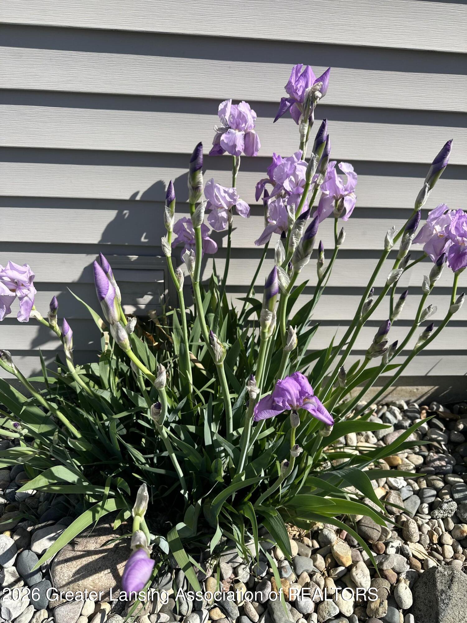 4754 Pine Hill Drive