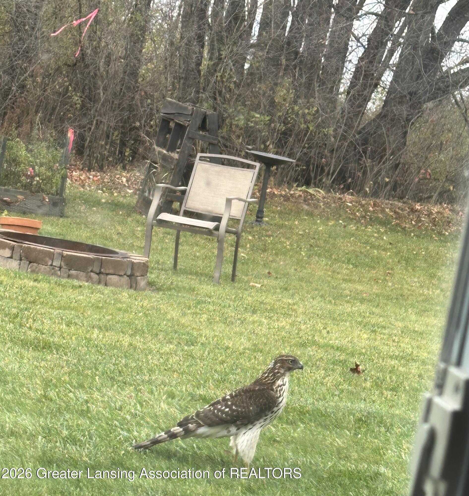 4754 Pine Hill Drive