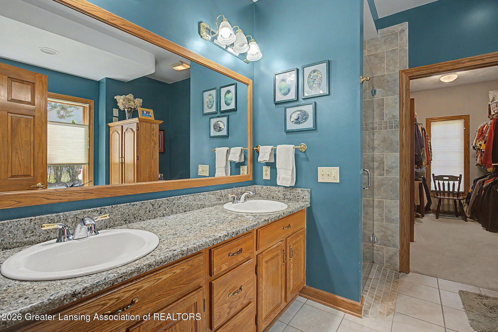 3991 White Pine Drive, DeWitt