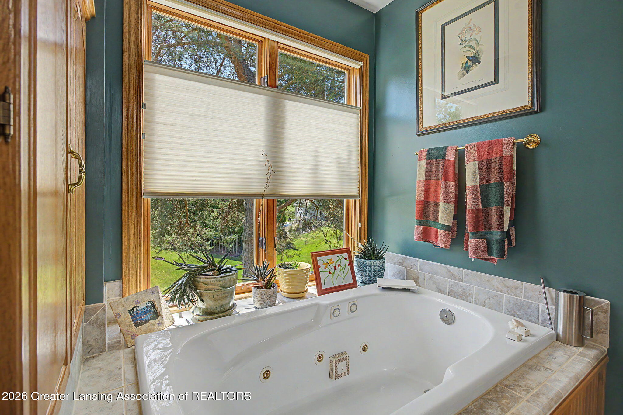 3991 White Pine Drive, DeWitt