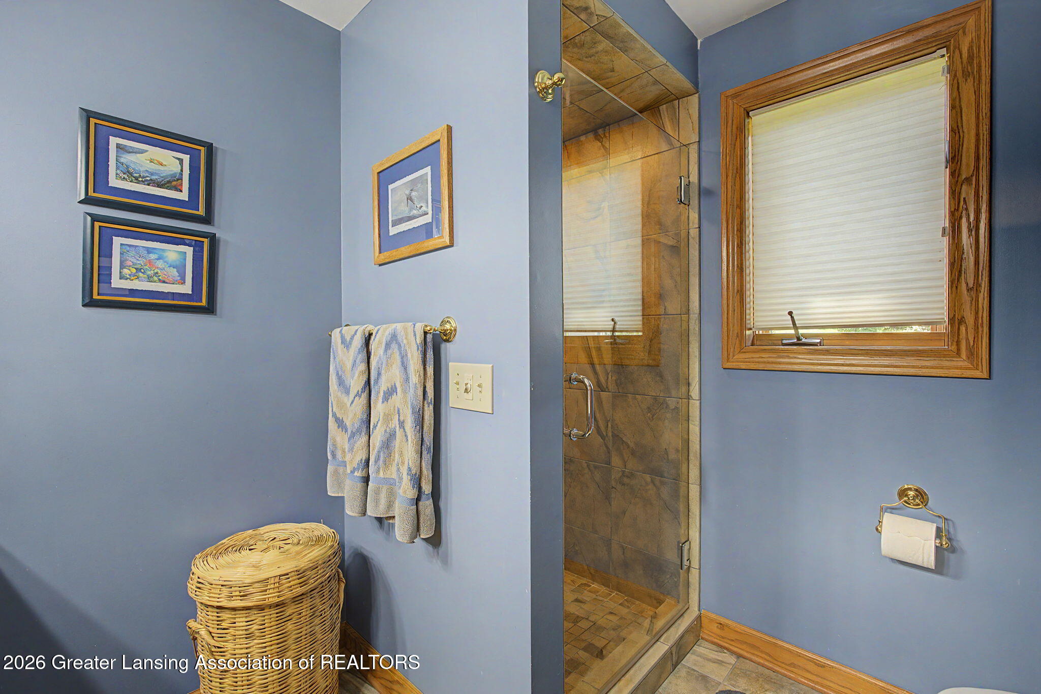3991 White Pine Drive, DeWitt