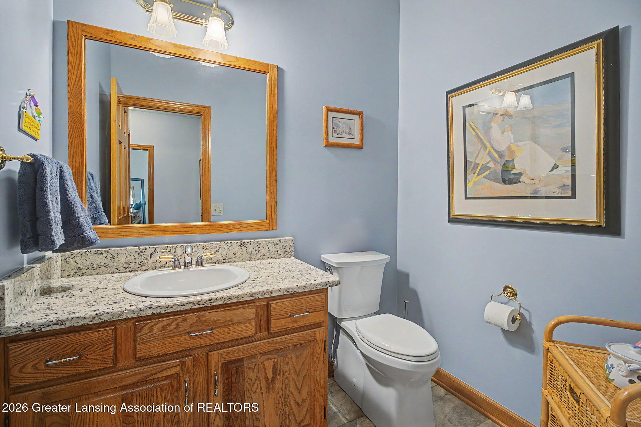 3991 White Pine Drive, DeWitt