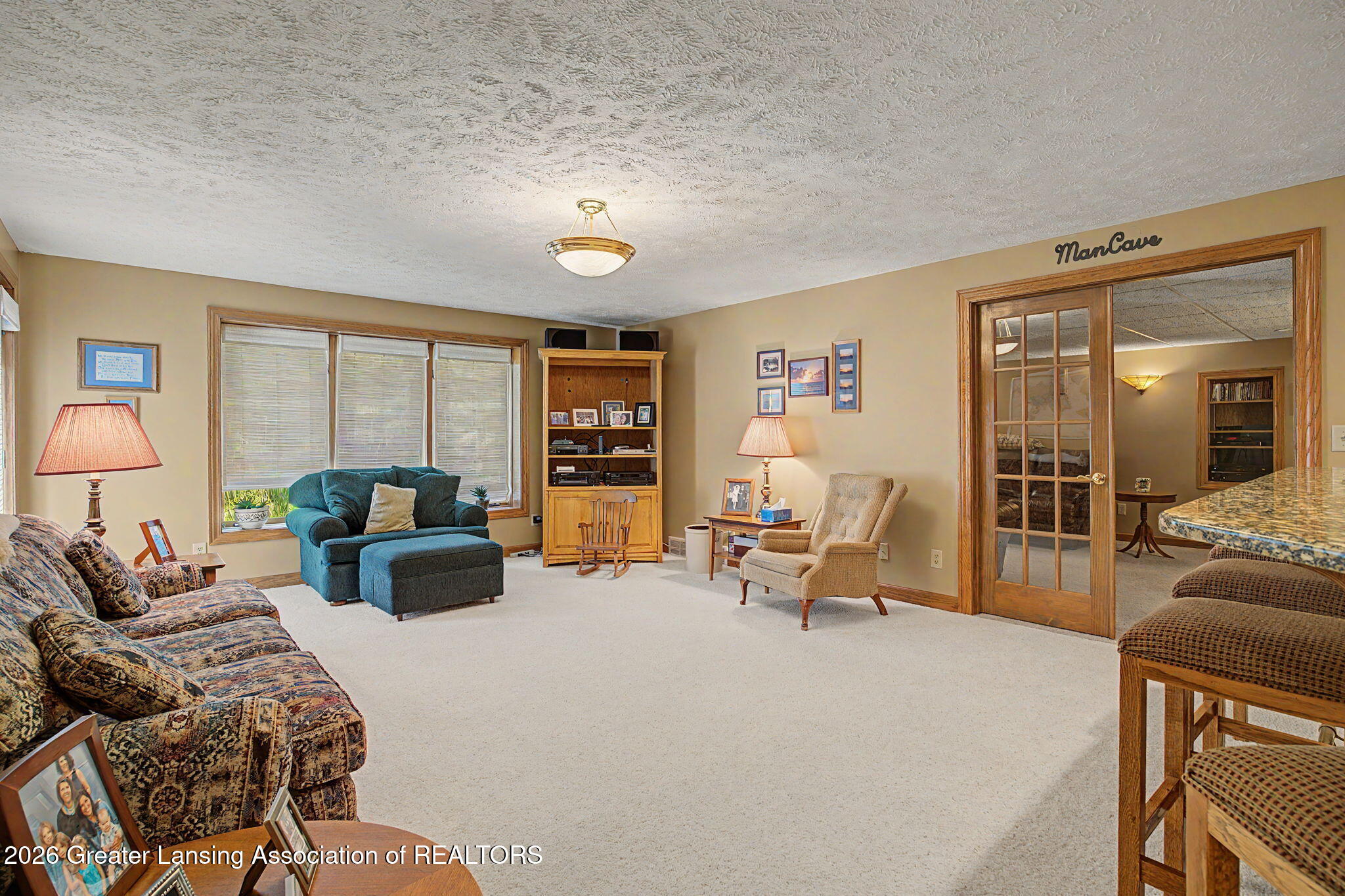 3991 White Pine Drive, DeWitt