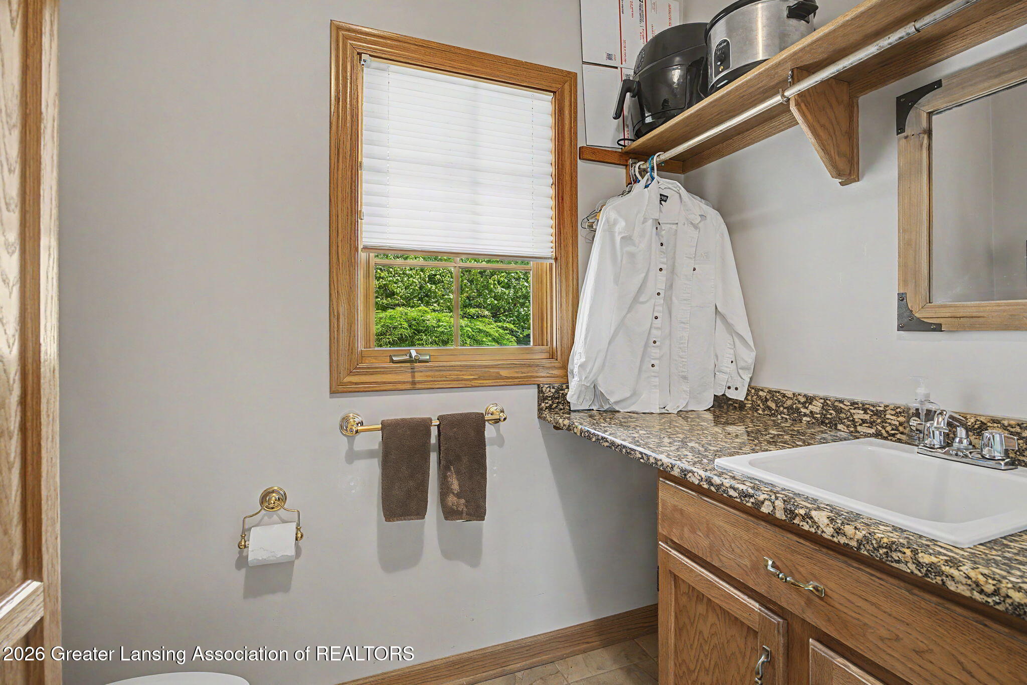 3991 White Pine Drive, DeWitt
