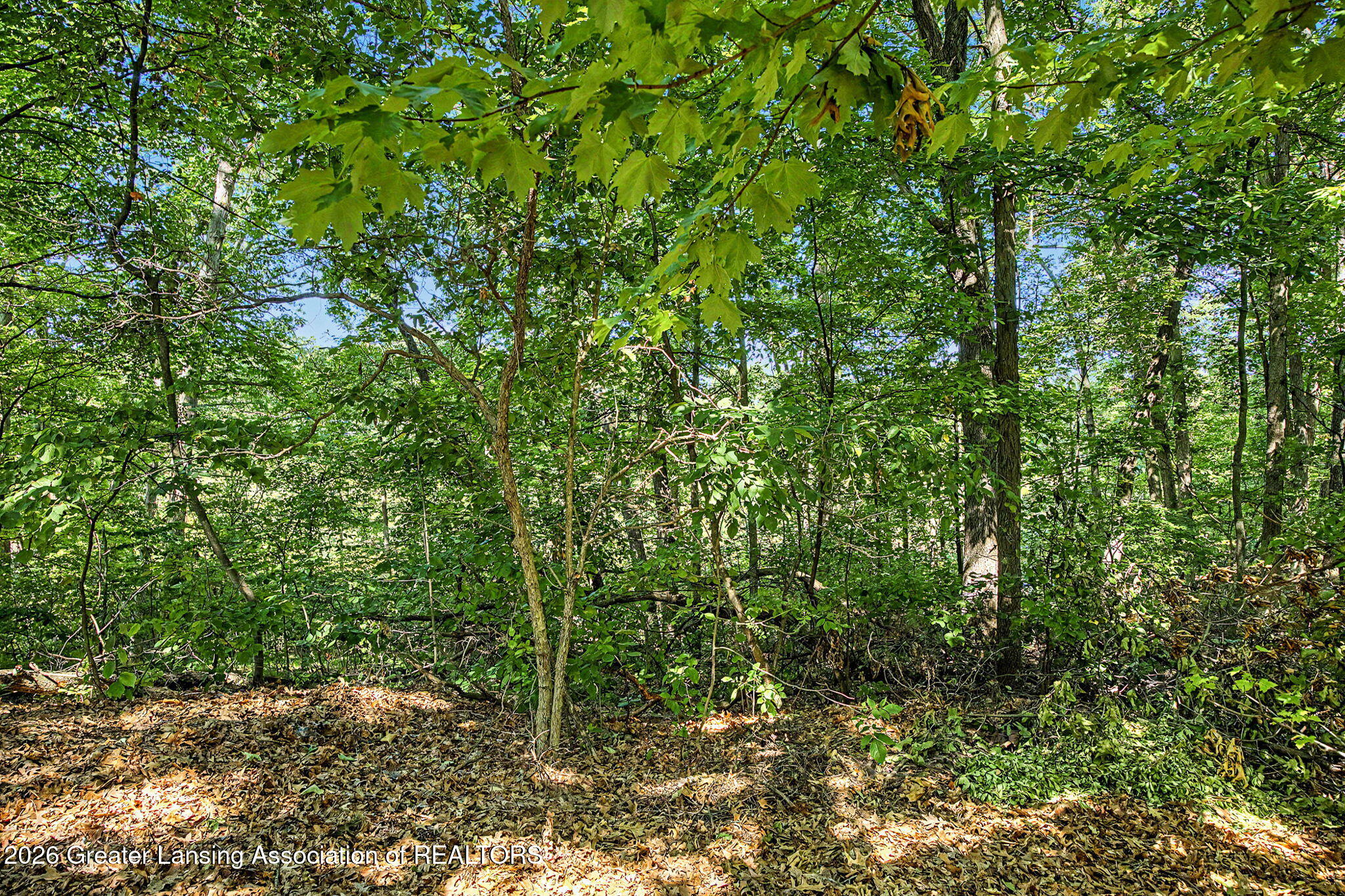 2047 Arbor Meadows Drive, DeWitt