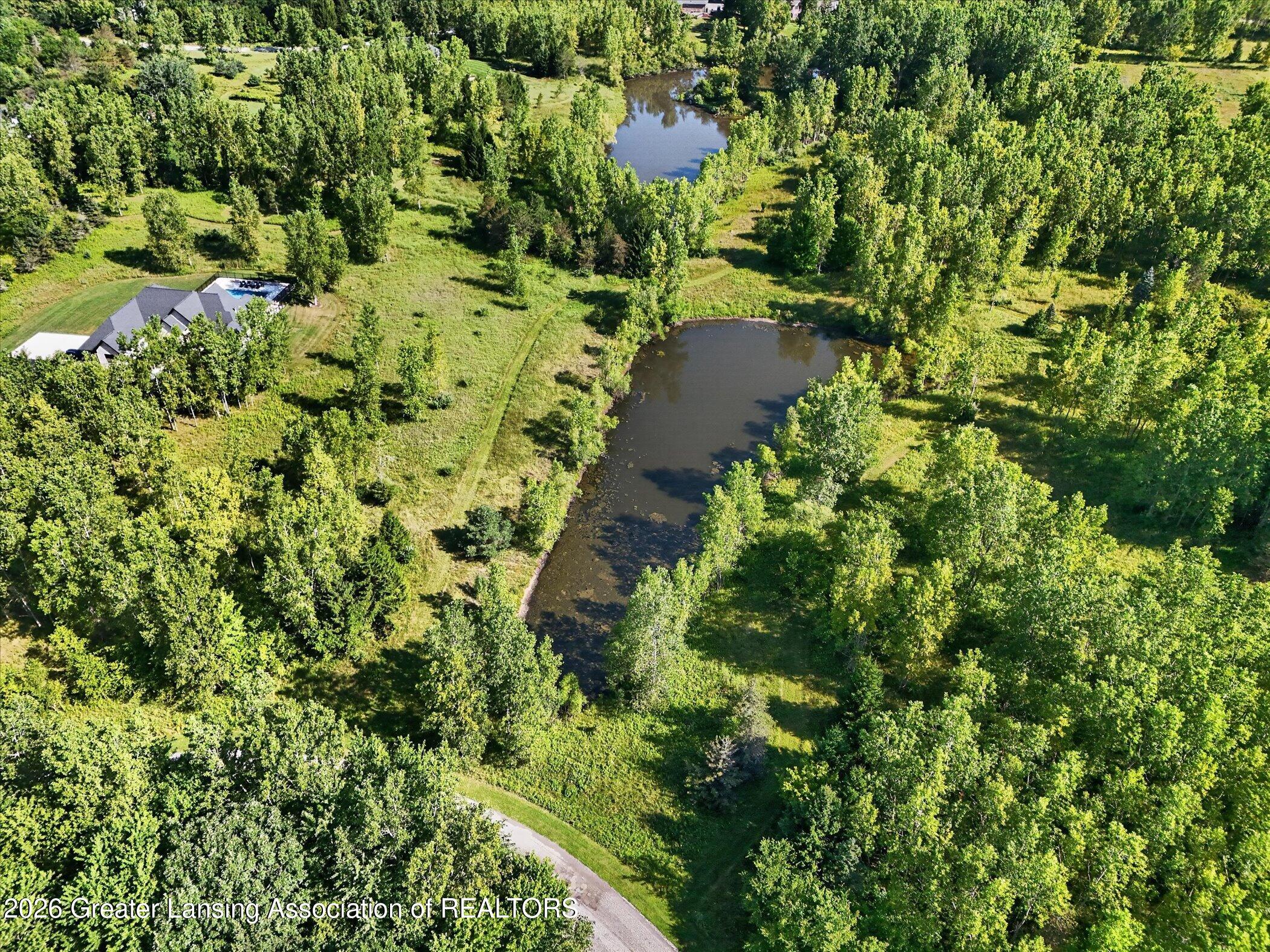 101 Daggertail Lane