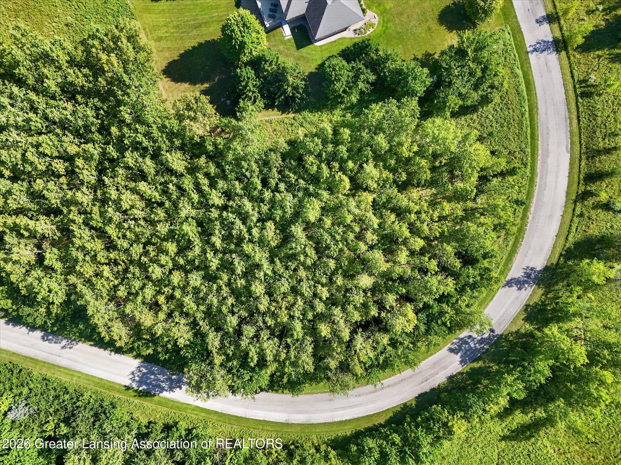101 Daggertail Lane