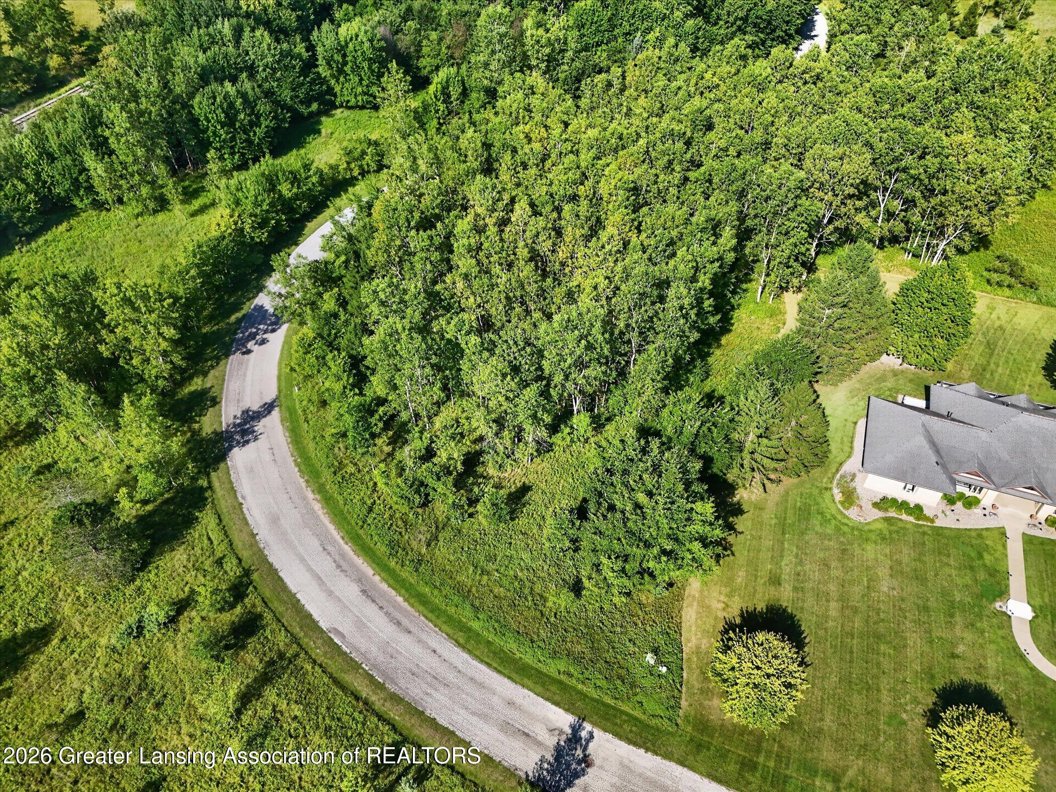 101 Daggertail Lane