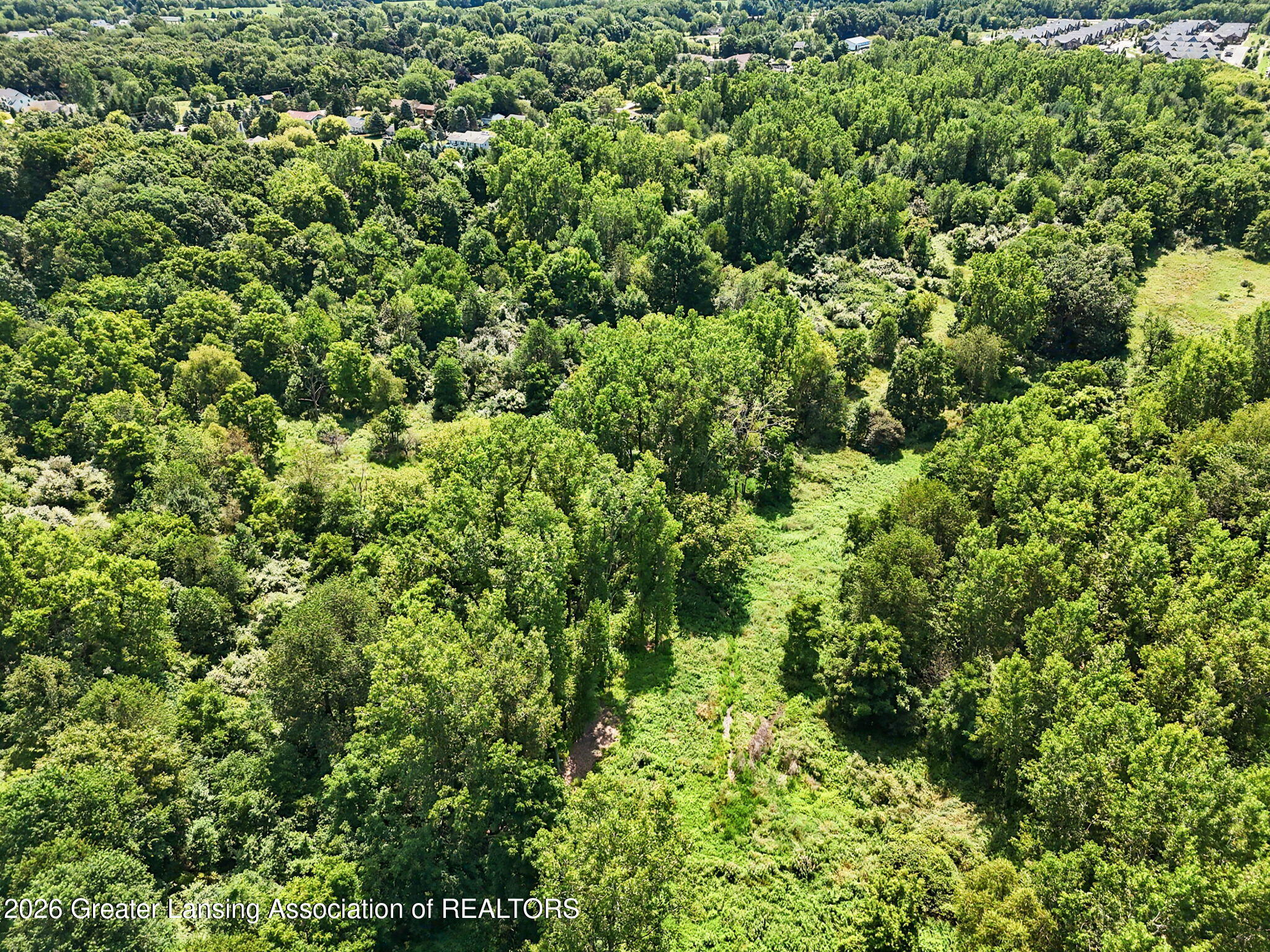 13586 Sienna Pass, DeWitt