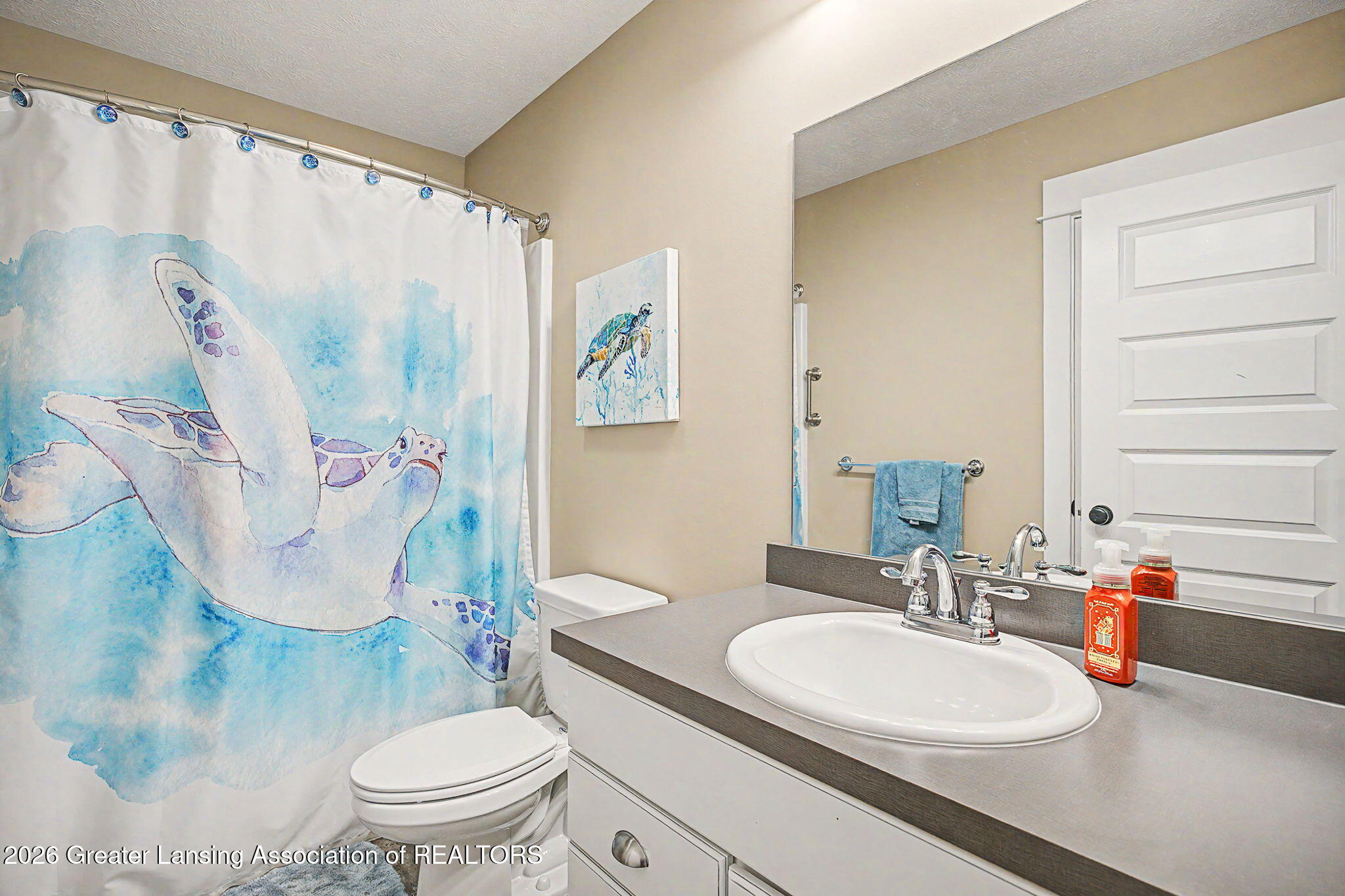 13586 Sienna Pass, DeWitt