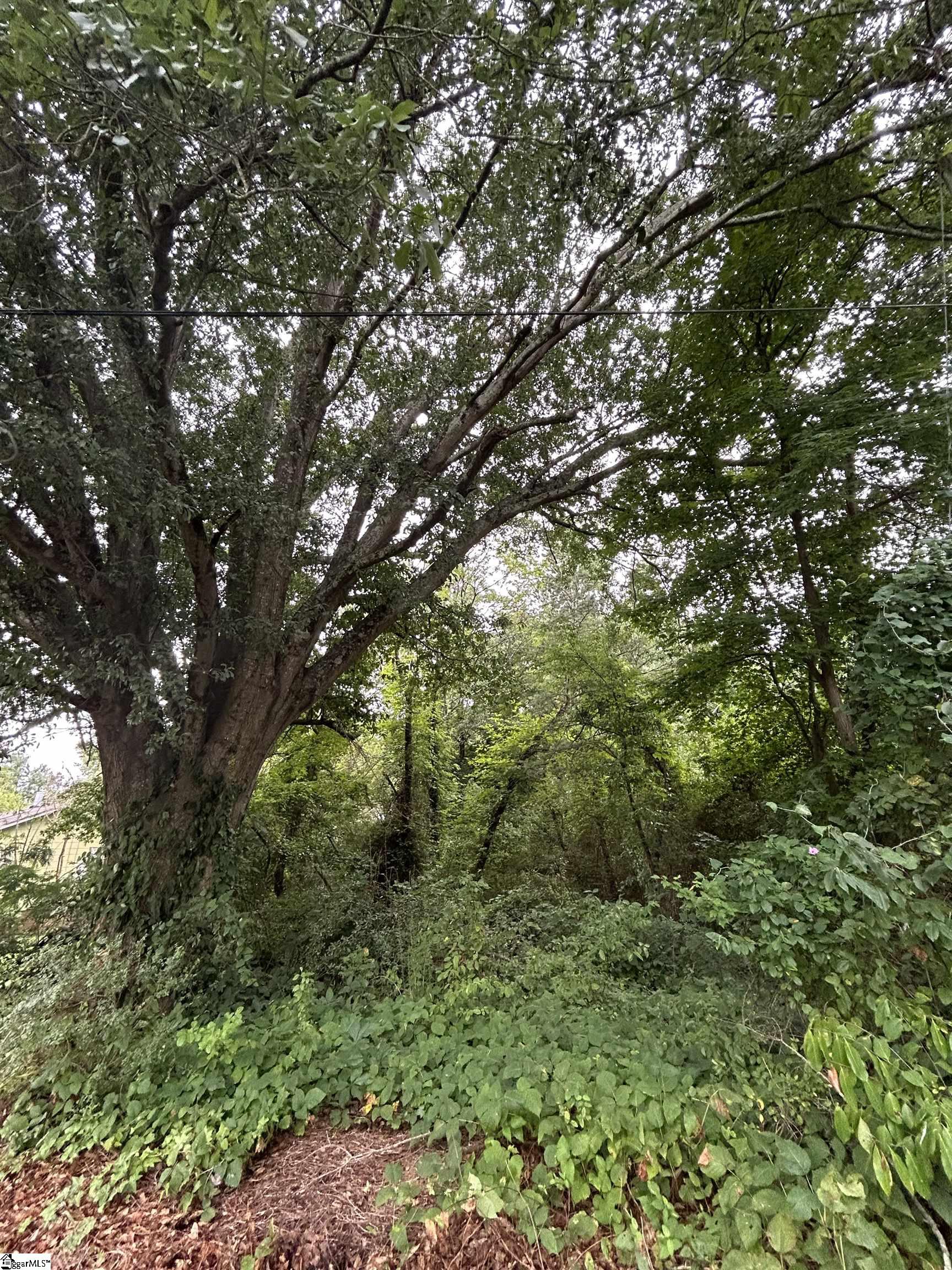 00 Apopka Avenue