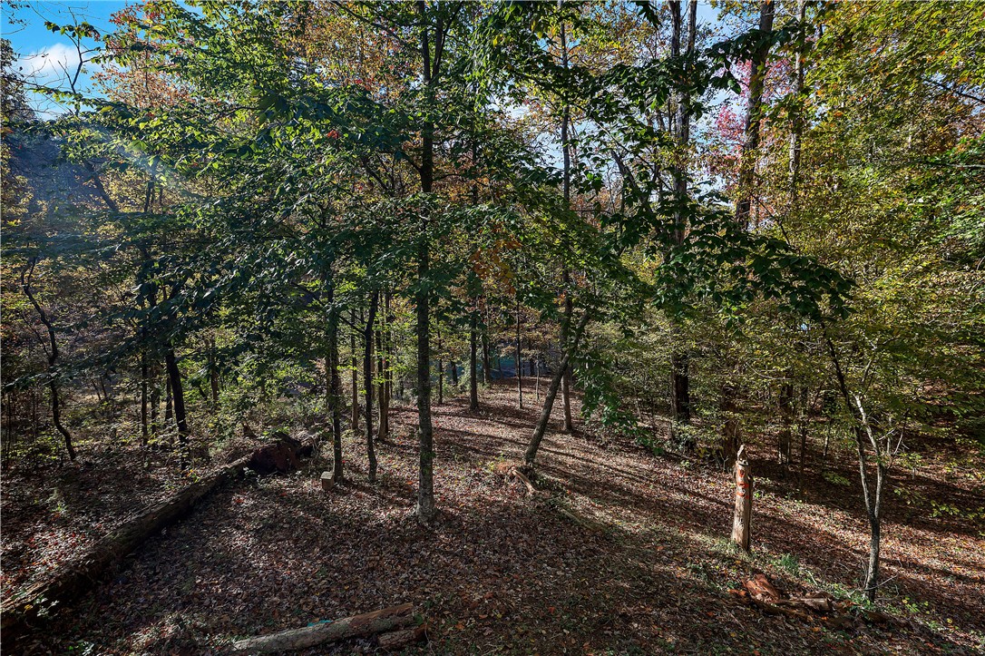 234 Blackjack Cove Road