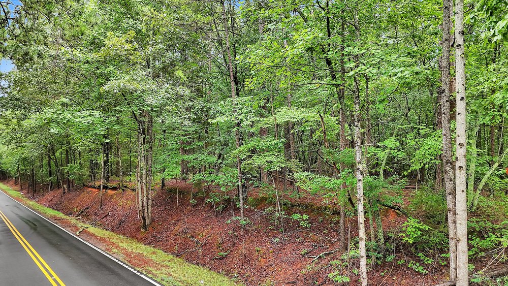 TR 5 Dalrymple Road
