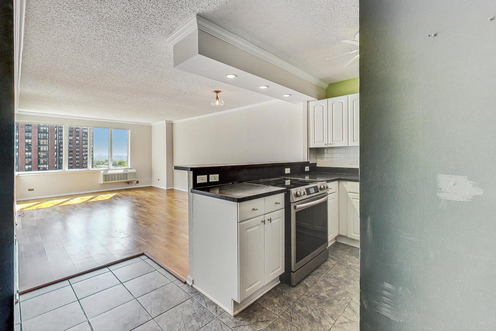 801 S Plymouth Court Unit: 1010