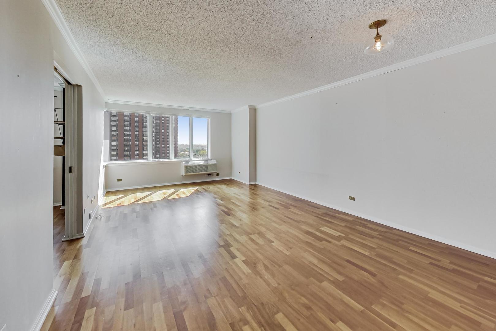 801 S Plymouth Court Unit: 1010