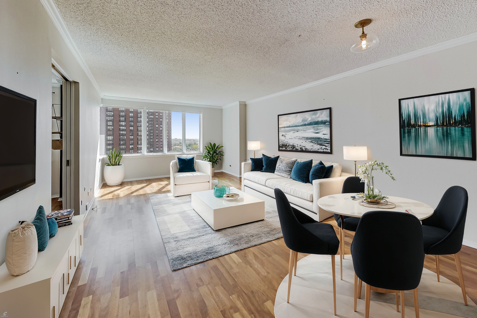 801 S Plymouth Court Unit: 1010