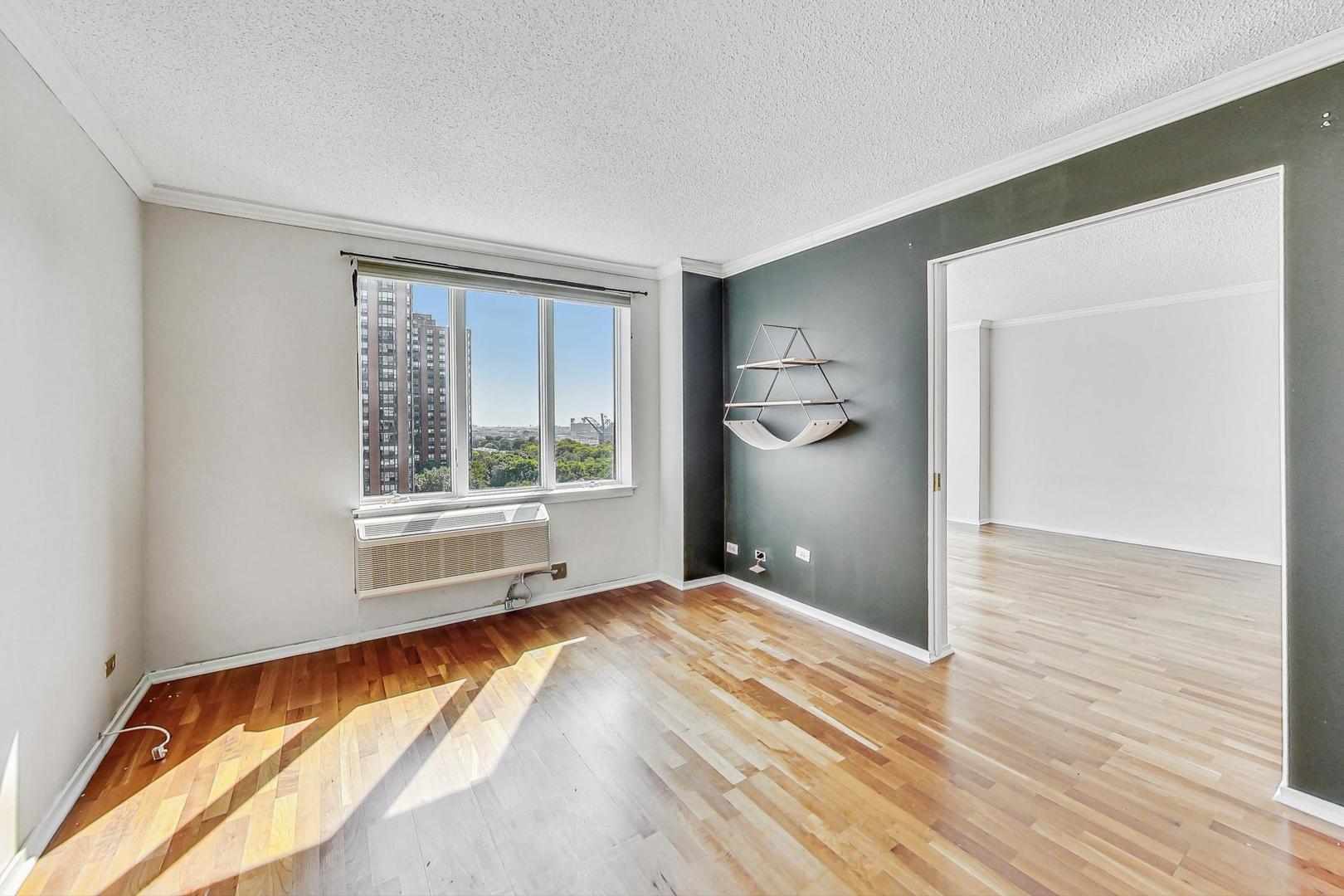 801 S Plymouth Court Unit: 1010