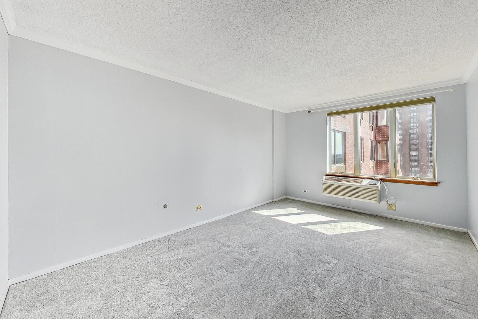 801 S Plymouth Court Unit: 1010