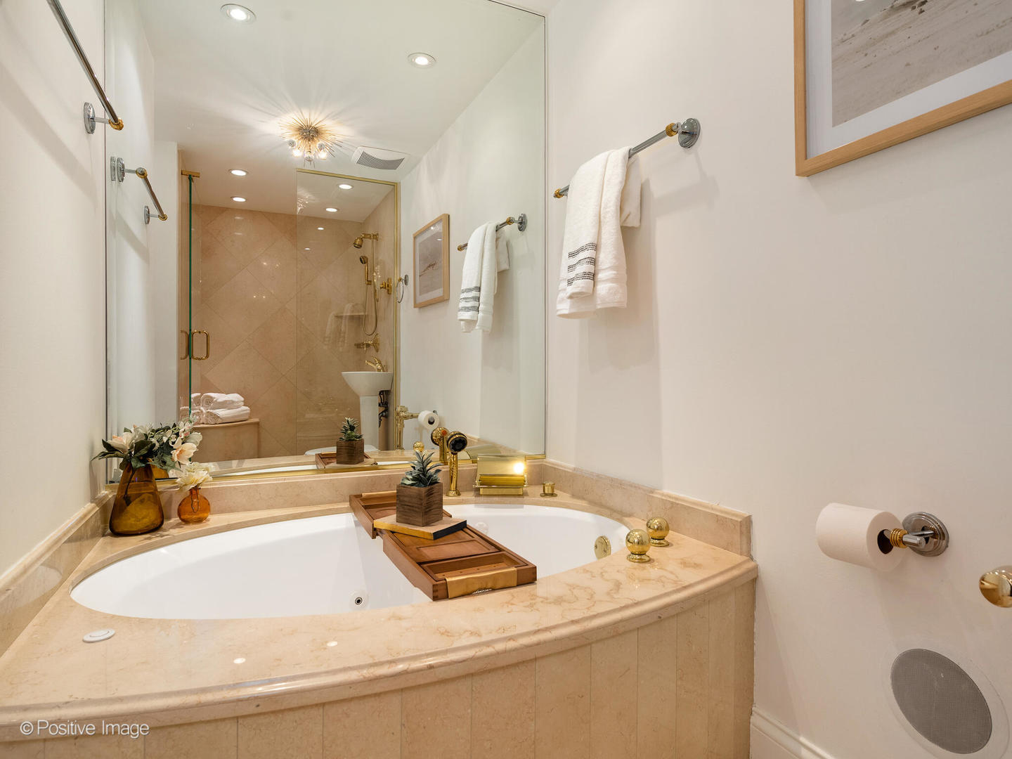 1300 N Lake Shore Drive Unit: 21A