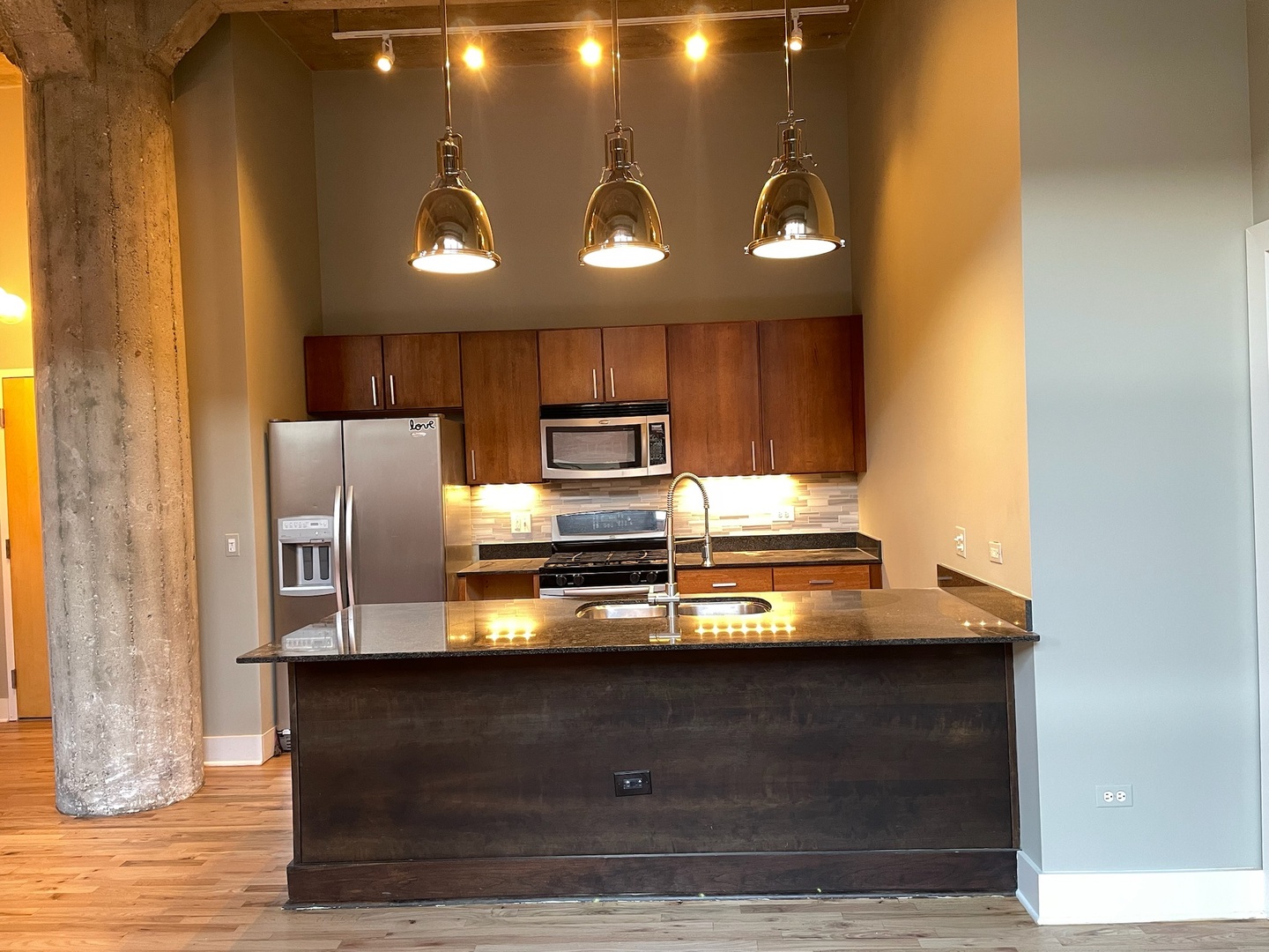 1735 N Paulina Street Unit: 406