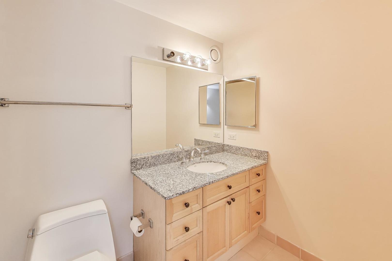 512 N McClurg Court Unit: 4601