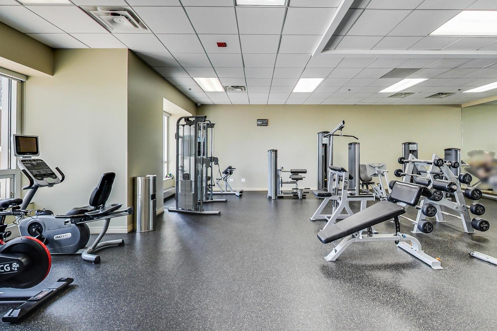 512 N McClurg Court Unit: 4601