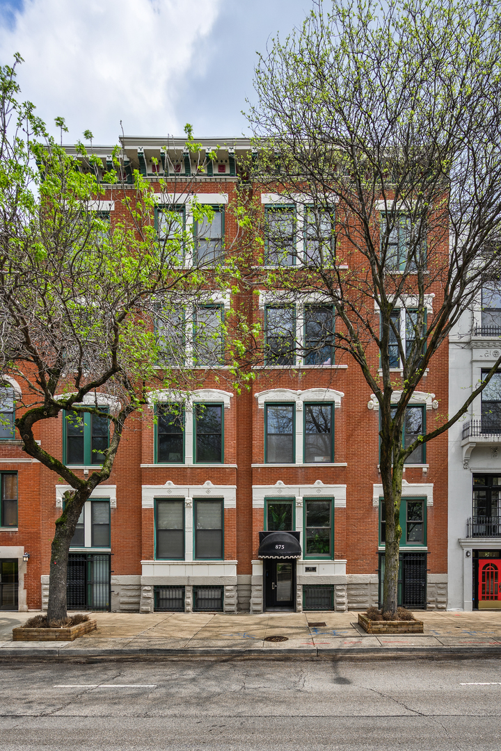 875 N La Salle Drive Unit: 2S