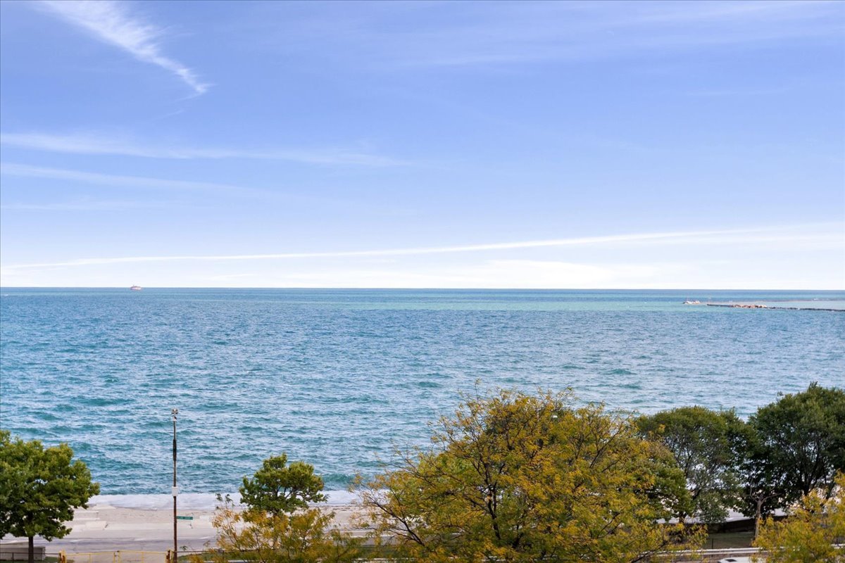 1212 N Lake Shore Drive Unit: 6BN